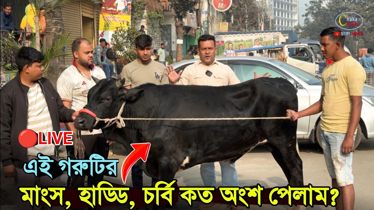 🔴Live গরুটির মাংস, হাড্ডি, চর্বি কত অংশ পেলাম দেখুন! বারবার দেখুন!! beef price 2026