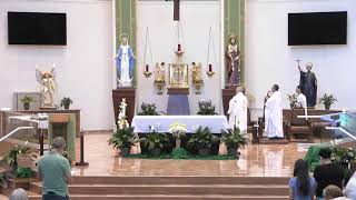 Live Mass