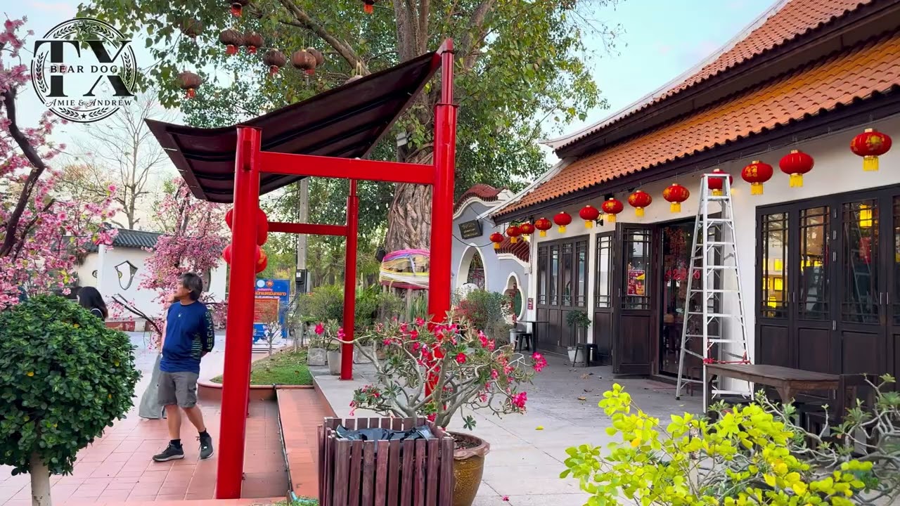 Evening Walk Through the Thai-Chinese Night Market | ￼ มาเดินแถวศาลปู่ย่าอุดรธานี ￼