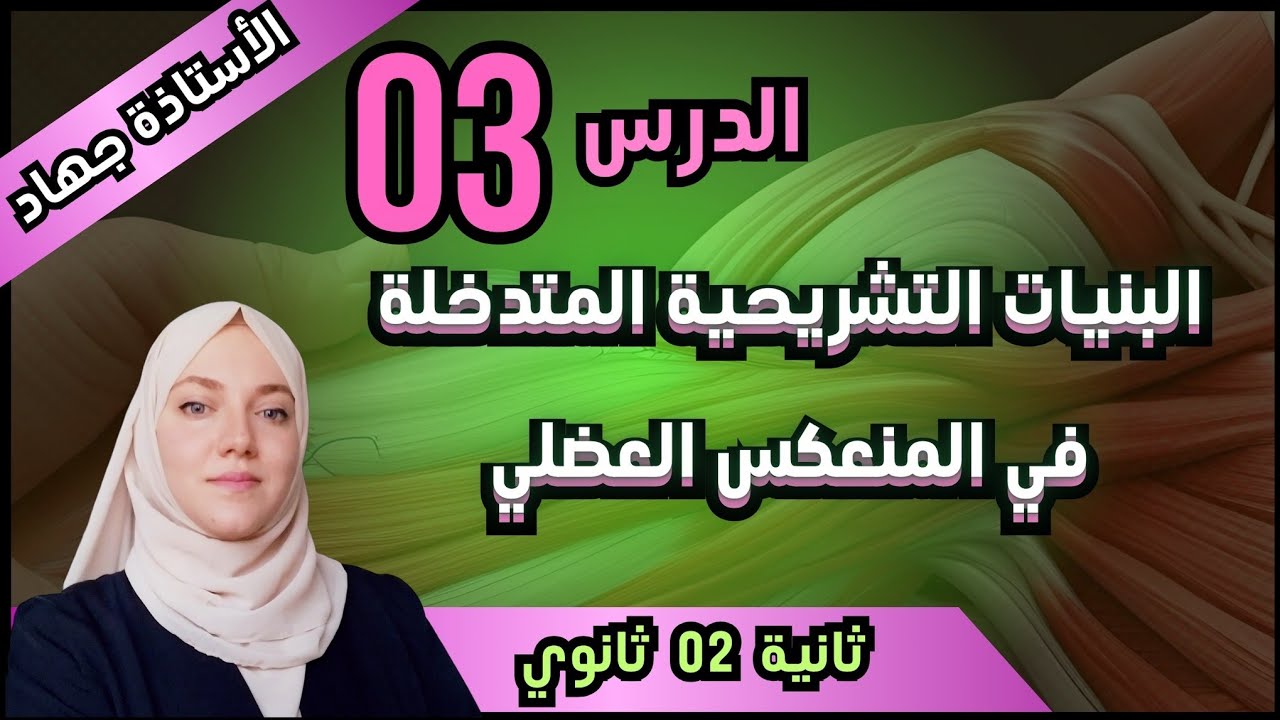 الدرس 3 البنيات المتدخلة في المنعكس العضلي ثانية تجريبية 