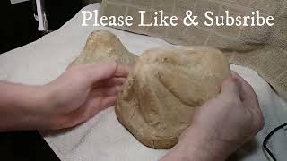 HUGE FOSSILIZED ECHINOIDS !!!