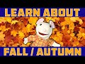 LEARN ABOUT FALL AUTUMN Learning Seasons For Children Preschool Kindergarten Vocabulary mp3