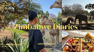 Zimbabwe travel vlog | Wild life Sanctuary | Wild is life | Zim Diaries Episode 3