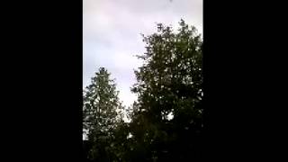 ChapelWP 20150806 17 51 18 Pro