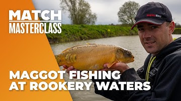 Maggot Fishing At Rookery Waters - Match Masterclass