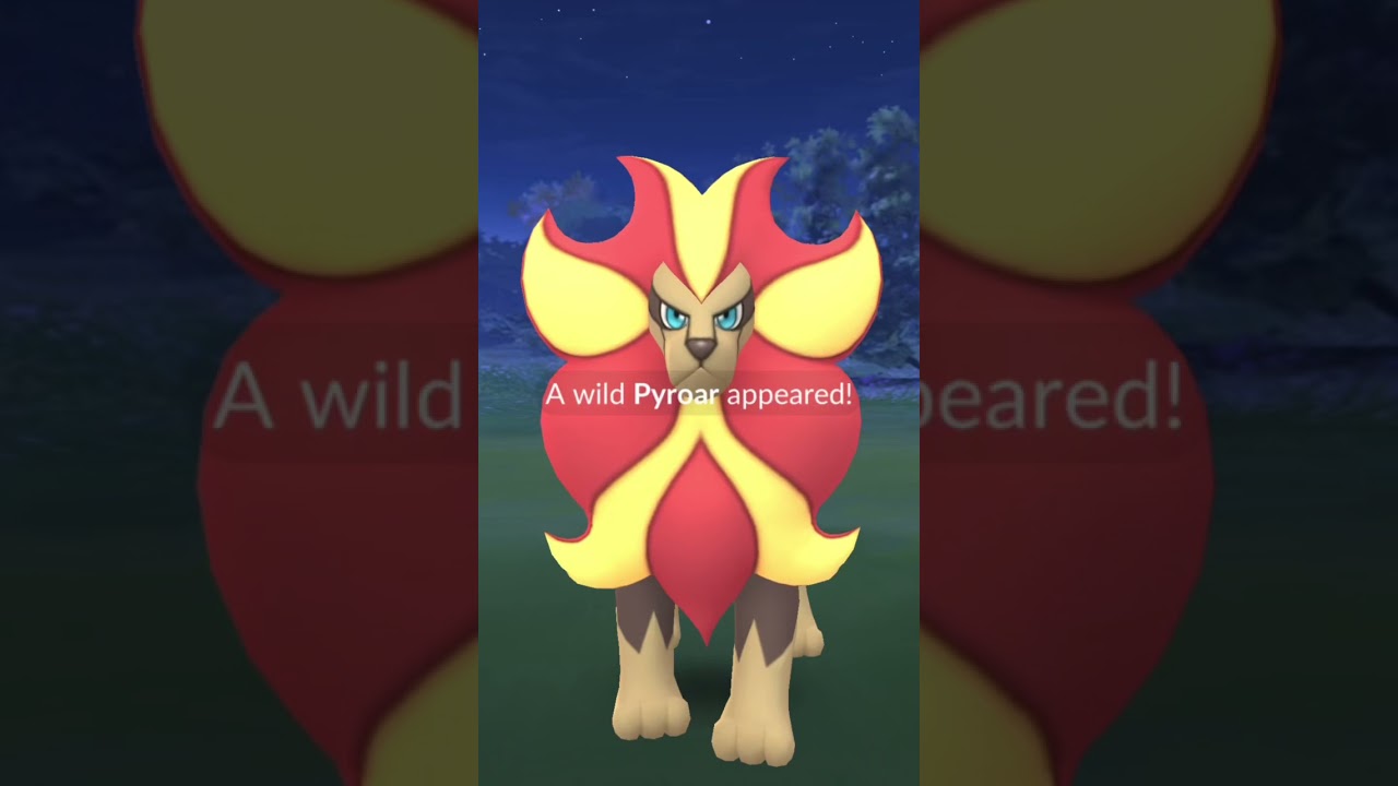 Male Pyroar Encounter! 