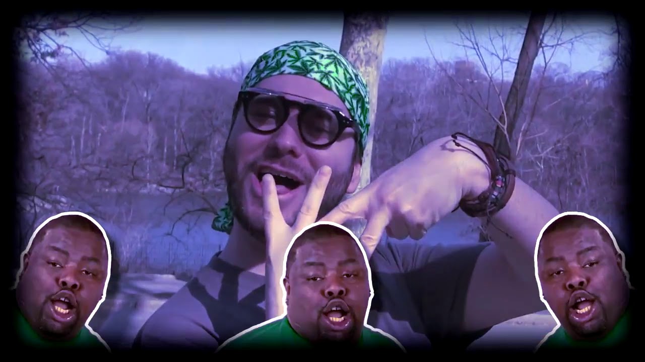 i dont fucking know [MillyTheVest]