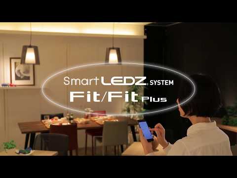 SmartLEDZ overseas - video from ENDO Lighting