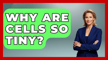 Why Are Cells So Tiny? - The Everyday Why