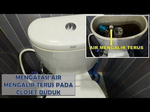 Video: Mengapa toilet terus menyiram?