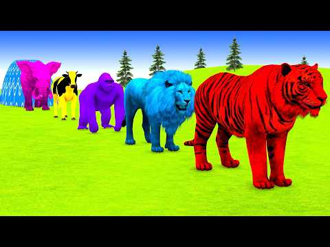 Long Slide Game With Cow Elephant Gorilla Hippopotamus Tiger 3d Animal Game Funny 3d Animals