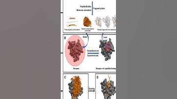 Modelling peptide–protein complexes: docking, simulations and machine learning | RTCL.TV