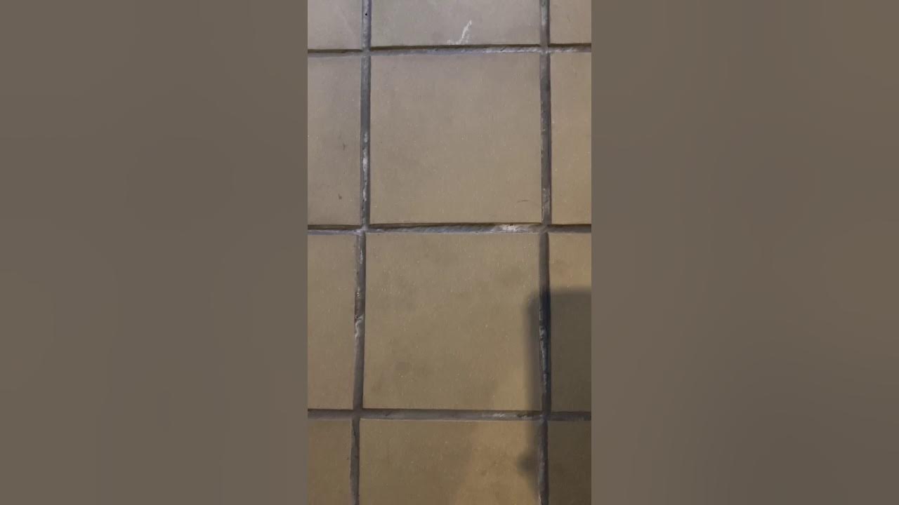 Discolored grout, this is the fix. White and gray patches/spots in new