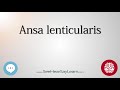 Ansa lenticularis   anatomy of the brain   seehearsaylearn 