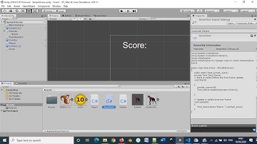Unity2d Scoring. Kuliah Informatika Unikama Universitas Kanjuruhan Malang