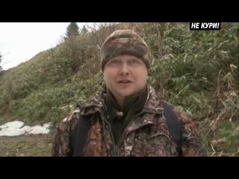 Video: Lov nebezpečného medveďa na Kamčatke