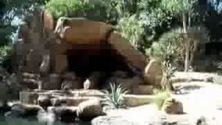 Jungle Cruise 080908
