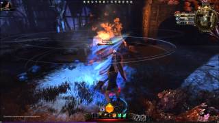 Neverwinter - Funny Control Wizard Bug