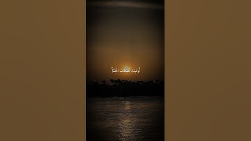 #سورة_يونس #احمد_النفيس