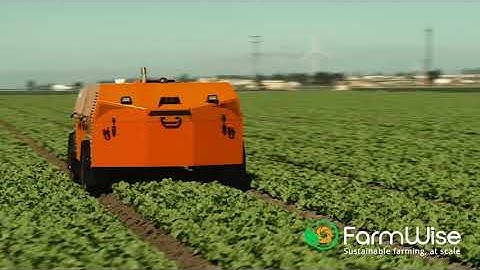 THRIVE Accelerator Program