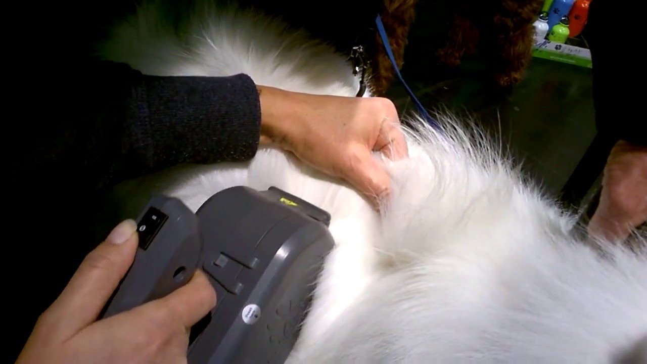 Automatic Dog Brush removing undercoat YouTube