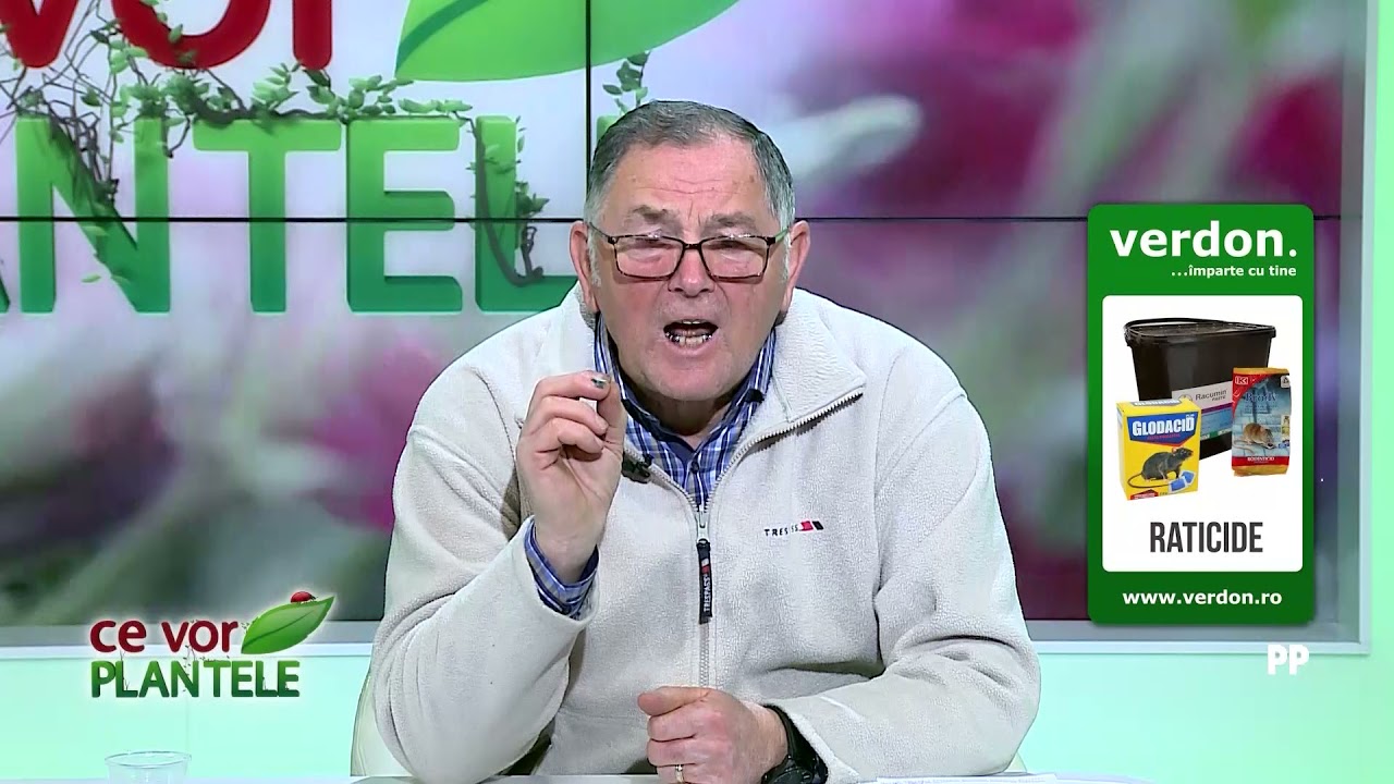 Dr. Ing. Horia Ghibu - Cum protejăm culturile din solar de invazia furnicilor 1 Dr. Ing. Horia Ghibu - Cum protejăm culturile din solar de invazia furnicilor YouTube player