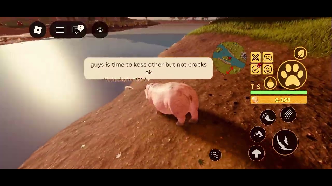 playing roblox savannah life