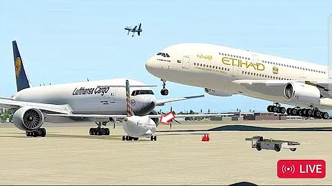 Cow Accidentally Came During Airplane Landing