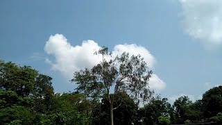 Best Time Lapse Video With Oppo A37f Mobile
