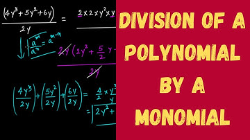 Division of a Polynomial by a Monomial || Factorisation || Grade 8