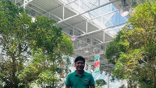DEVONIAN GARDENS l Calgary, Canada l TJINAP is live!