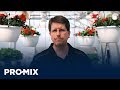 Rol del manganeso en el cultivo de plantas