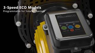 Davey Endurafit Pool Pump - Nz