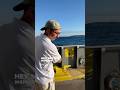 Inspiration?? viinspections.com #freebird #leonardskynyrd #edmonds #ferry #humor #seattle #weird