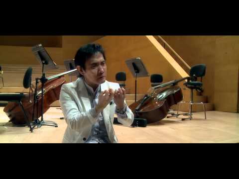 Xuefei Yang - Rodrigo: Concierto de Aranjuez