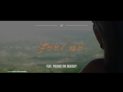 Pseudo The Beatguy Feel Me Ft Julia A 