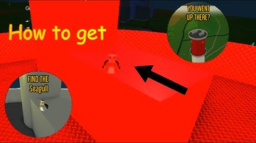 How to get You went up there? & Find the seagull in PTFS(Pilot Training Flight Simulator | Roblox