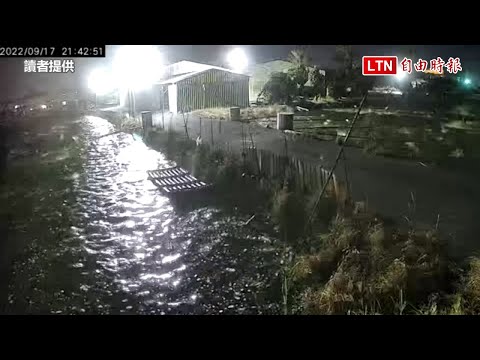 918強震》虱目魚嚇壞跳上岸釀損失 「最強里長」為養殖戶請命(讀者提供)