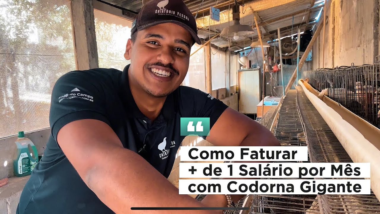 Lucre R$2.125 Mensais Criando Codornas Gigantes Em Casa