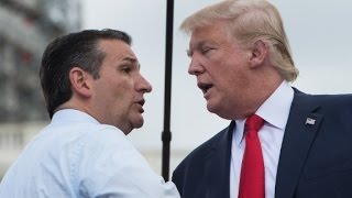 Donald Trump: The establishment is against me