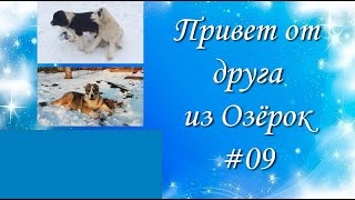 Привет от друга из Озёрок # 09