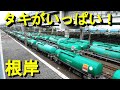 タキ（タンク車）がいっぱいの根岸駅で貨物列車撮影