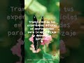 ✨TUS EMOCIONES SON TU BRÚJULA INTERNA✨