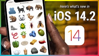 What's New in iOS 14.2  New Emoji, Intercom on HomePod, New Wallpapers, and More!