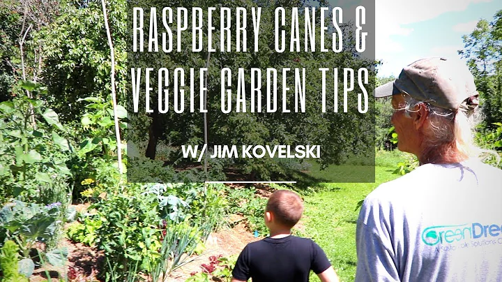 Market Farming in Maine | Veggies & Raspberries w/...