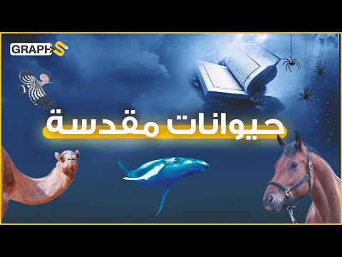 هل تعلم لماذا ذكر الله هذه الحيوانات تحديداً في القرآن الكريم .. وهل جميعها مقدّسة ؟