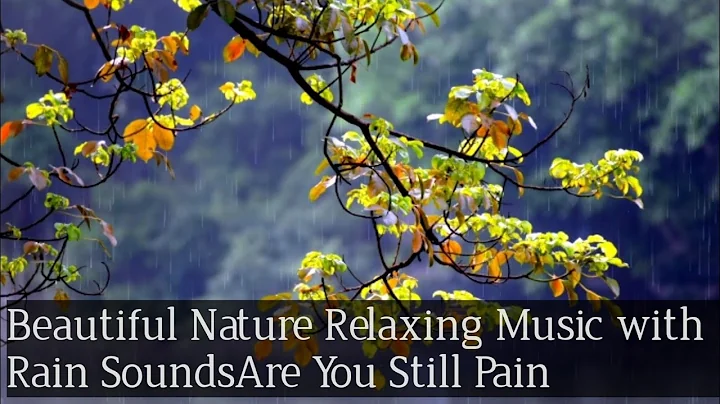 Beautiful Nature Relaxing Music with Rain Sounds | Are You Still Pain#relaxing