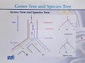 BT732 Genetics & Genomics Lecture No 164