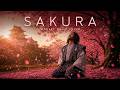 Monkey Majik - Sakura (English Cover)