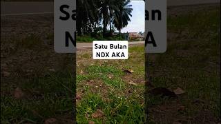 SATU BULAN - BERNADYA (COVER NDX AKA) #cover #liriklagu #fypシ゚viral #fypシ゚ #viral #trending
